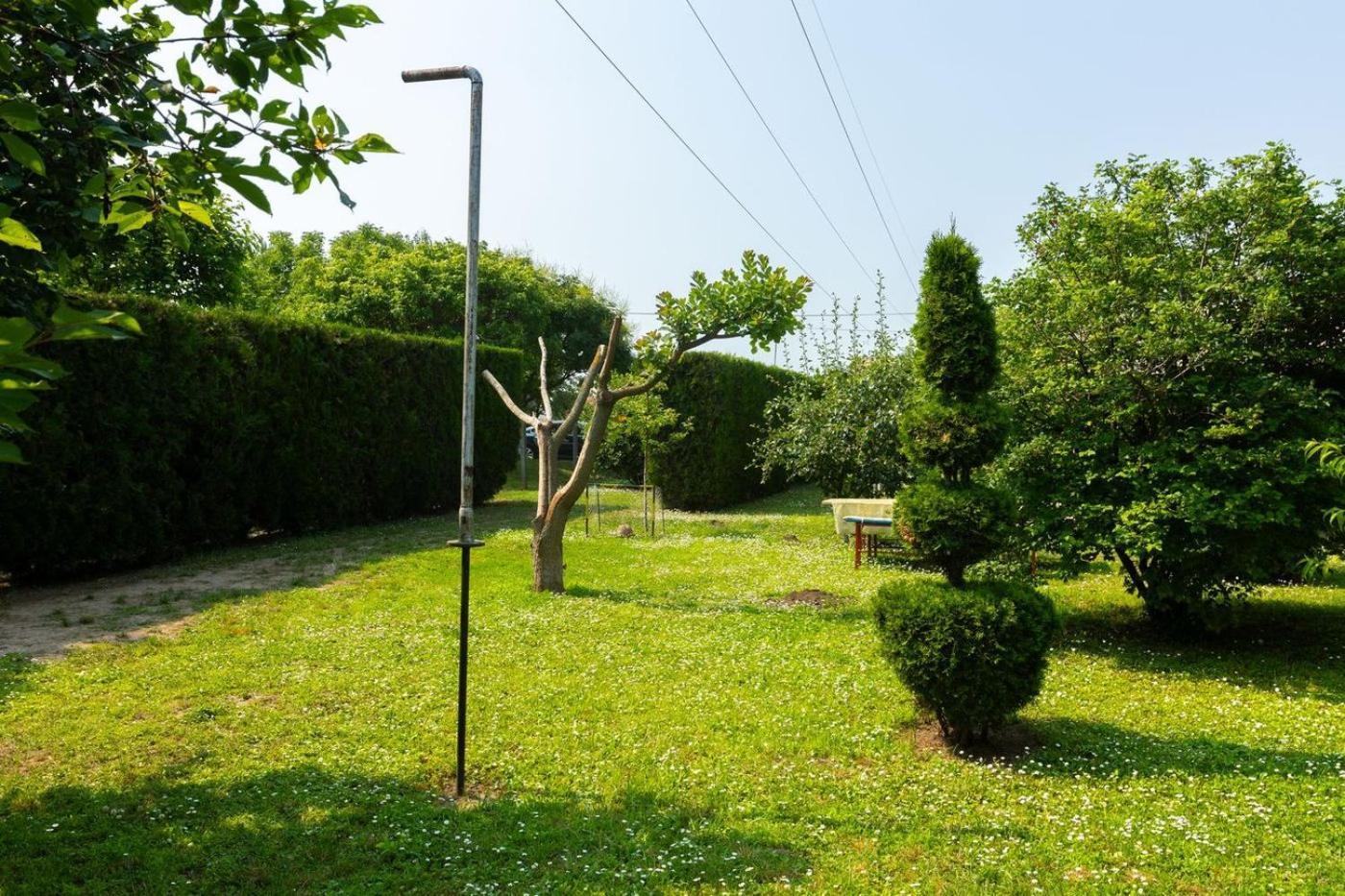 Salas Vujic Becej Exterior photo